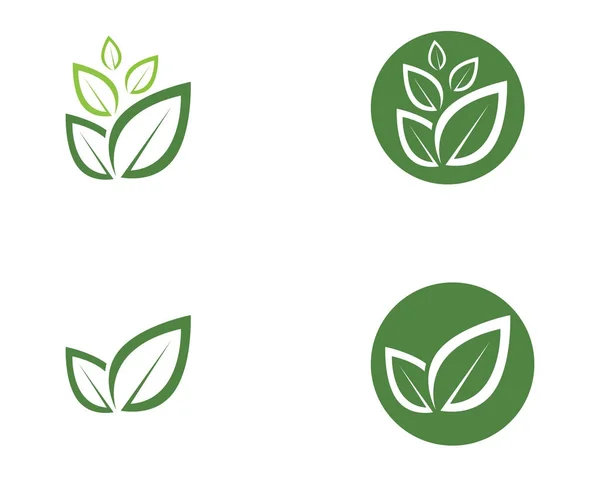 Hoja verde naturaleza logotipo y símbolo plantilla Vector — Archivo Imágenes Vectoriales