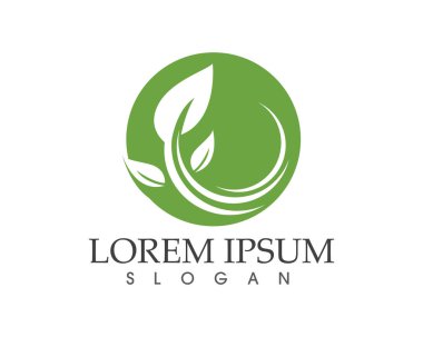 yaprak yeşil doğa logo ve sembol şablon vektör 