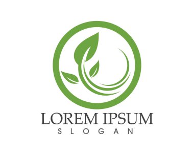 yaprak yeşil doğa logo ve sembol şablon vektör 