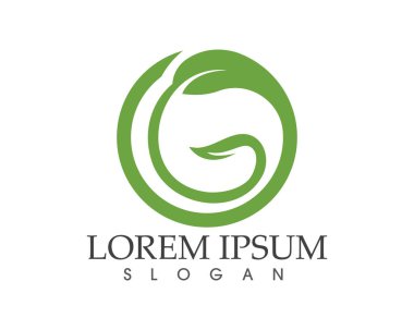yaprak yeşil doğa logo ve sembol şablon vektör 
