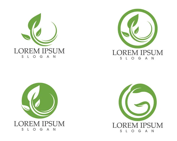 Hoja verde naturaleza logotipo y símbolo plantilla Vector — Vector de stock