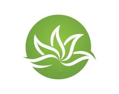 Ağaç yaprağı vektör logosu tasarımı, çevre dostu kavram