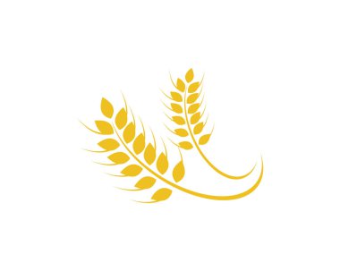 Tarım buğday logosu vektör ikonu tasarımı