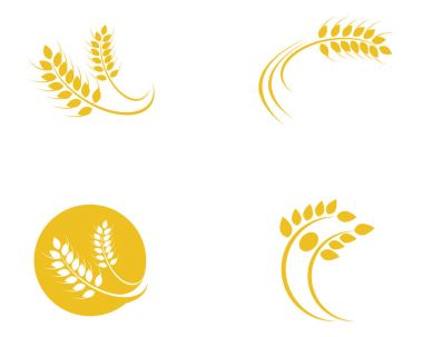Tarım buğday logosu vektör ikonu tasarımı