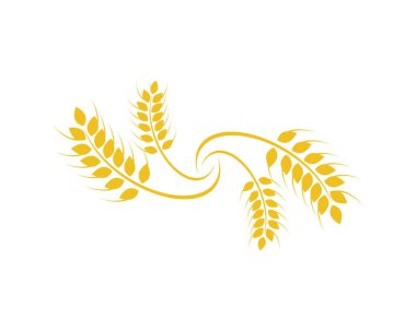 Tarım buğday logosu vektör ikonu tasarımı