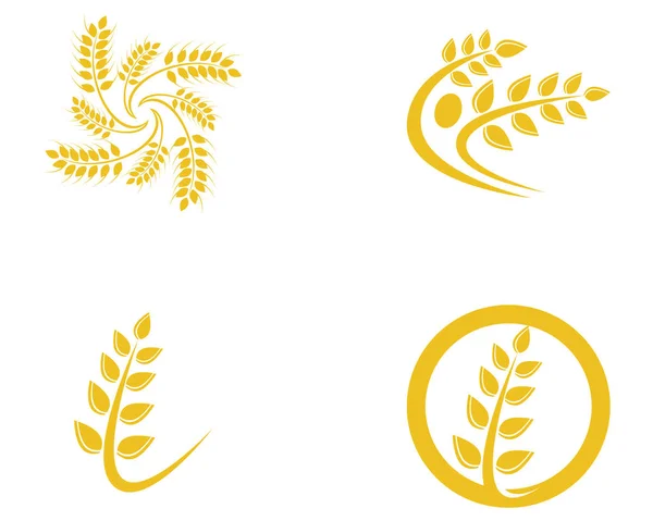 Landbrug hvede logo skabelon vektor ikon design – Stock-vektor
