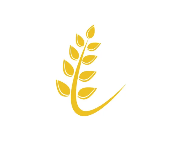 Landbouw tarwe logo template vector pictogram ontwerp — Stockvector