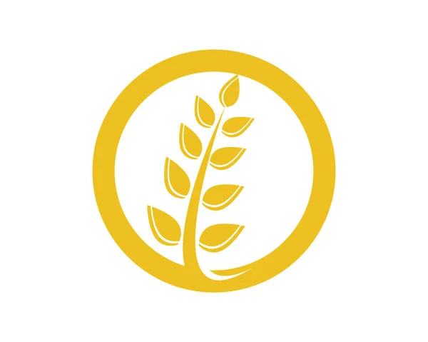 Agriculture wheat Logo Template vector icon design — Stock Vector