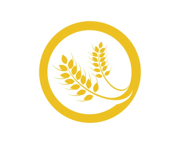 Agriculture wheat Logo Template vector icon design — Stock Vector