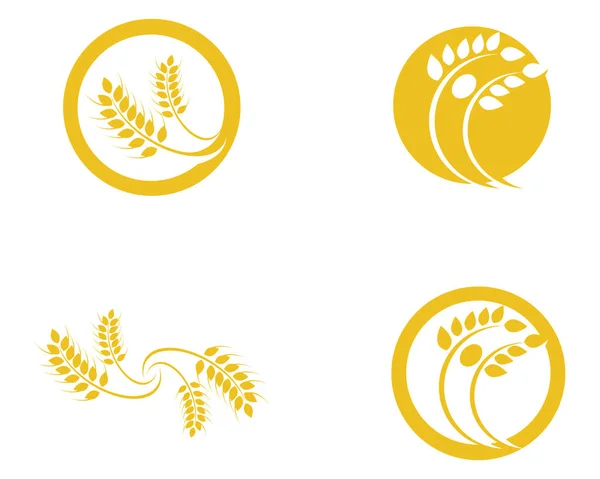 Сільське господарство пшениця Логотип Шаблон Векторний дизайн значка — стоковий вектор