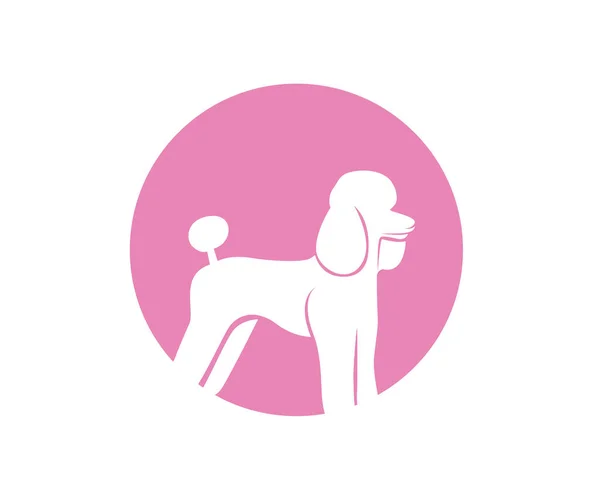 Plž logo psa shop šablonu ikony aplikace — Stockový vektor