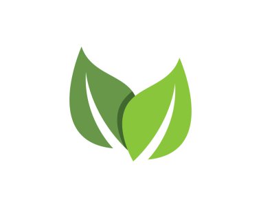 yaprak yeşil doğa logo ve sembol şablon vektör 