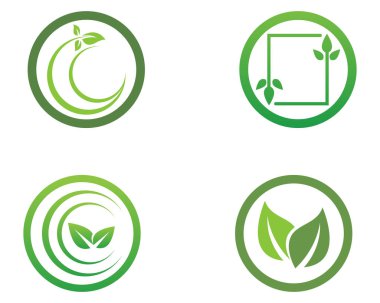 yaprak yeşil doğa logo ve sembol şablon vektör 