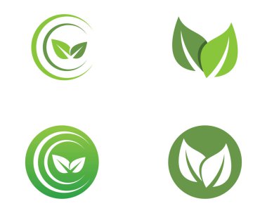 yaprak yeşil doğa logo ve sembol şablon vektör 