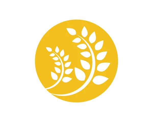 Rizs élelmiszer-étkezés logó és szimbólumok sablon ikonok — Stock Vector