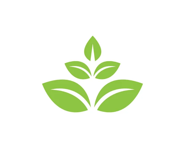 Blatt grünes Natur-Logo und Symbol-Vorlagenvektor — Stockvektor