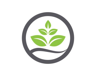 yaprak yeşil doğa logo ve sembol şablon vektör 