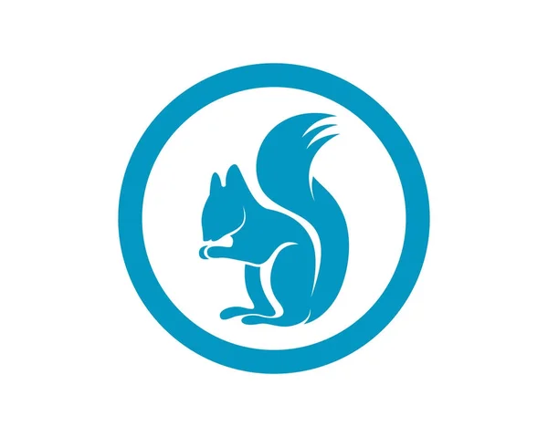 Білка тварин логотип і символи шаблон піктограми додаток — стоковий вектор