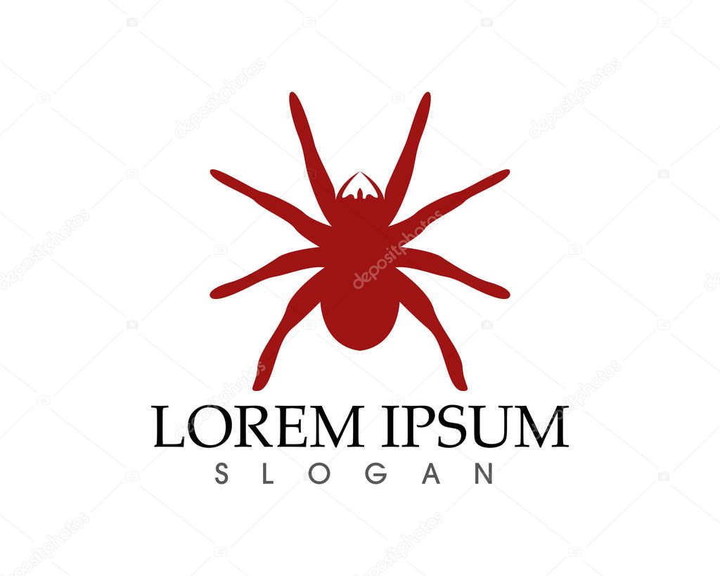 Spider logo and symbols template icons app