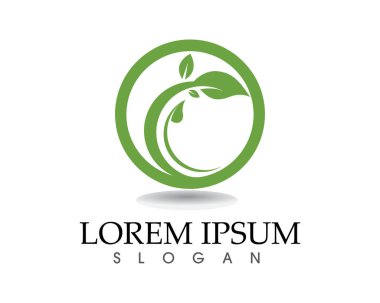 Ağaç yaprağı vektör logosu tasarımı, çevre dostu kavram.