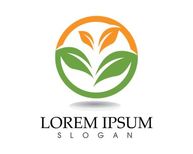 Ağaç yaprağı vektör logosu tasarımı, çevre dostu kavram.