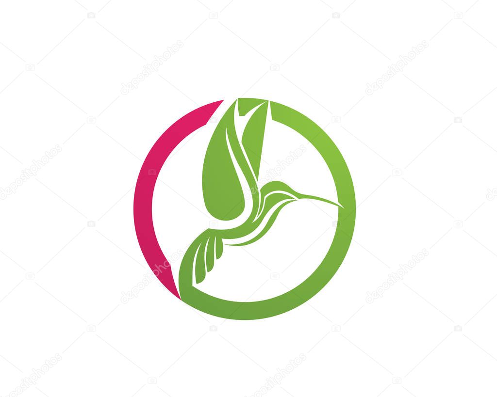 Hummingbird Logo and symbols iconsTemplate ap