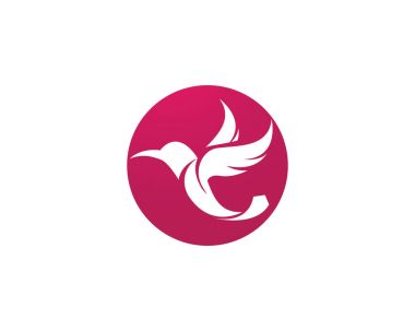 Sinek kuşu simge logo ve sembolleri şablon vektör