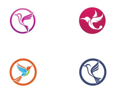Sinek kuşu simge logo ve sembolleri şablon vektör