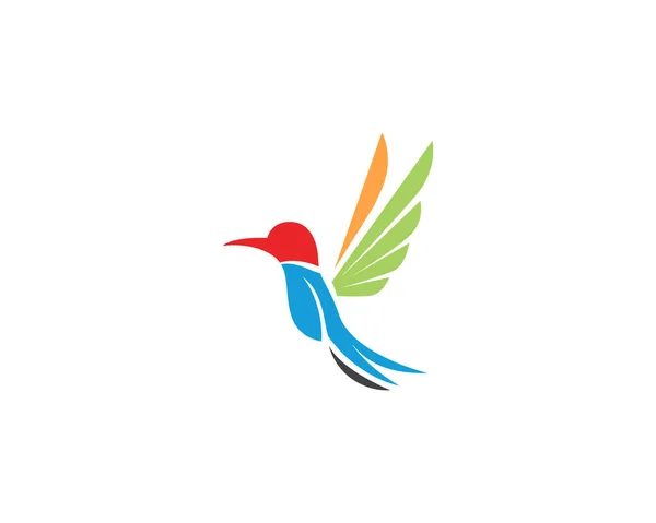 Sinek kuşu simge logo ve sembolleri şablon vektör — Stok Vektör