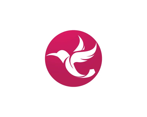 Hummingbird icon logo and symbols template vector — Stock Vector