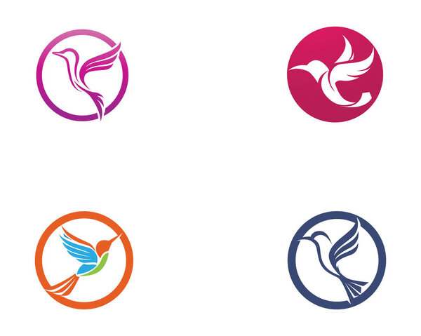 Hummingbird icon logo and symbols template vector