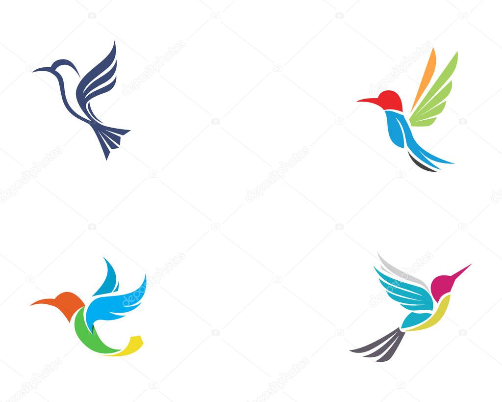 Hummingbird icon logo and symbols template vector