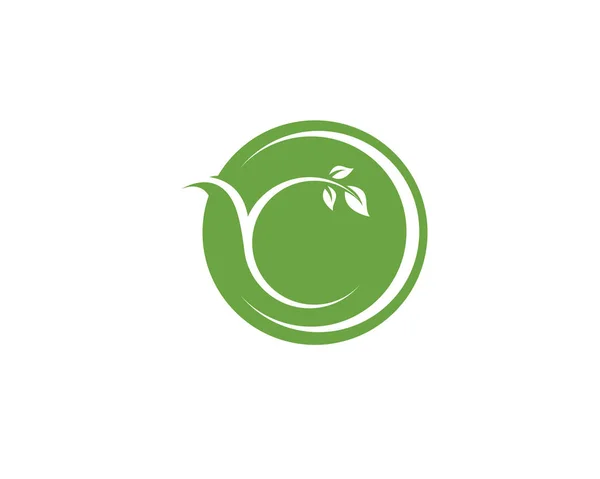 Лист зеленый логотип природы и шаблон символа вектор — стоковый вектор