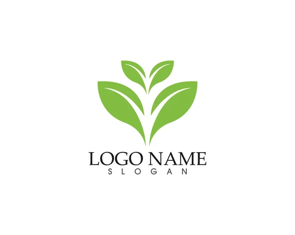 Ökologie-Vektor-Symbol-Logo und Symbol-Vorlage — Stockvektor