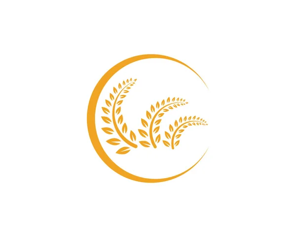 농업 쌀 음식 식사 로고 및 기호 서식 파일 아이콘 — 스톡 벡터