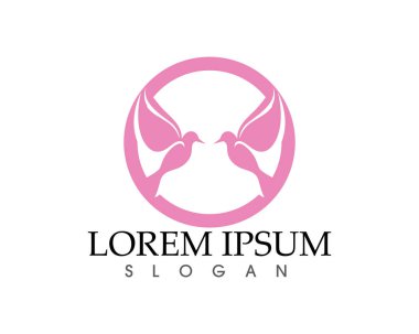 Kuş işareti soyut şablon simgeler app kanatlar