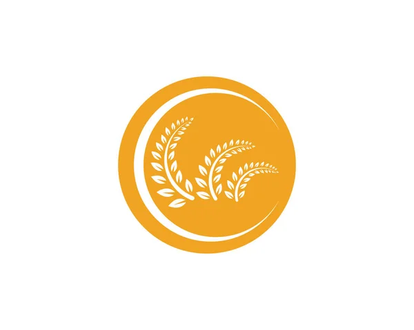 農業小麦のロゴのテンプレート ベクトル アイコン デザイン アプリ — ストックベクタ