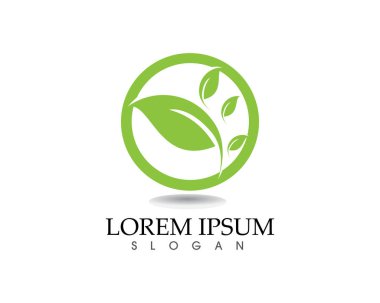 yaprak yeşil doğa logo ve sembol şablon vektör 