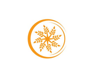 Tarım buğday Logo şablonu, sağlıklı yaşam logo vektör simgesi de