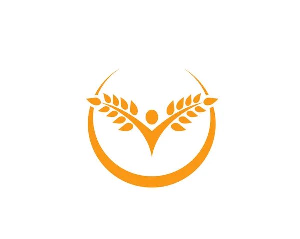 Modèle de logo de blé agricole, icône vectorielle de logo de vie saine — Image vectorielle