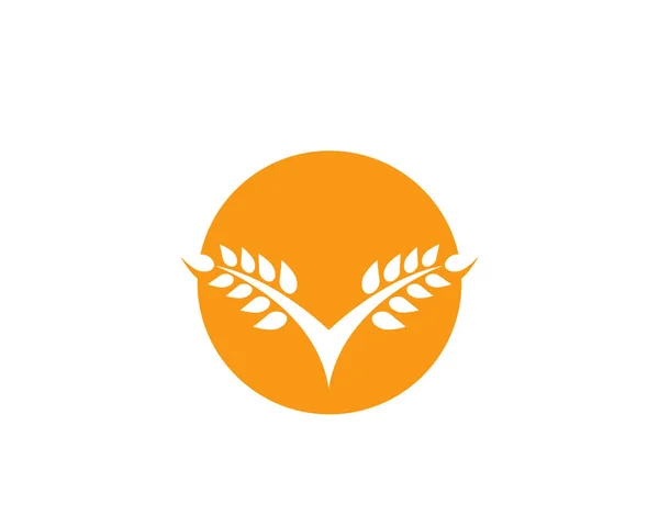 Modèle de logo de blé agricole, icône vectorielle de logo de vie saine — Image vectorielle