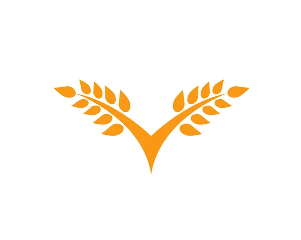 Agricoltura grano Logo Template, vita sana logo vettoriale icona de — Vettoriale Stock