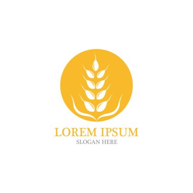 Tarım buğday vektör
