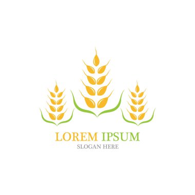 Tarım buğday vektör