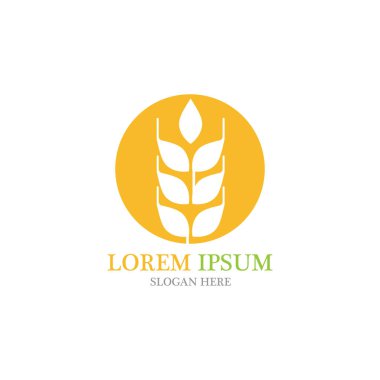 Tarım buğday vektör