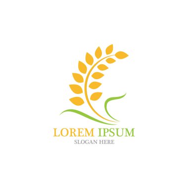 Tarım buğday vektör