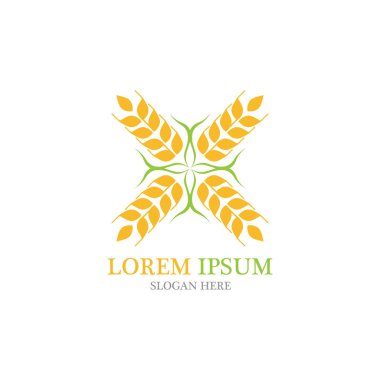 Tarım buğday vektör
