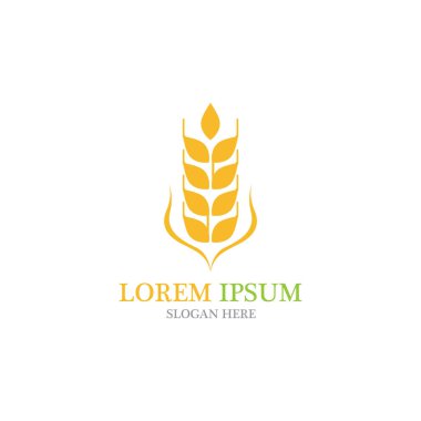 Tarım buğday vektör