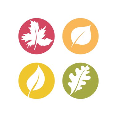 yapraklar vektör şablonunu belirler 