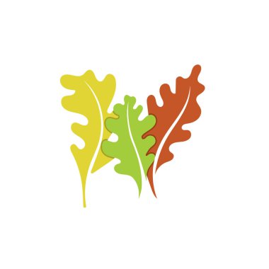 yapraklar vektör şablonunu belirler 